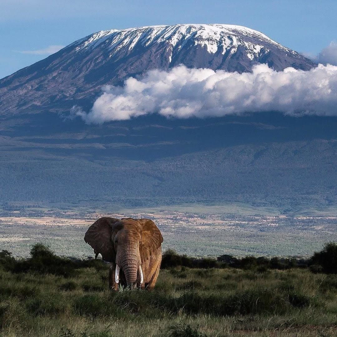Mount Kilimanjaro from the south
